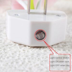 Mushroom Night Light | LED Night Lights